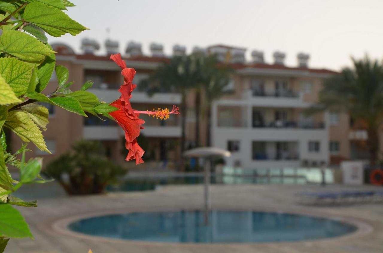 Iris Village Pafos Dış mekan fotoğraf